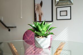 The Mile High Bohemian Retreat Roof Top Views