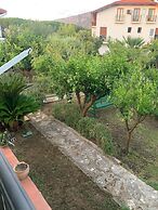 Bed & Breakfast Massico