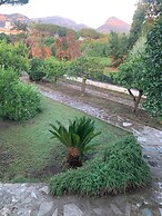 Bed & Breakfast Massico