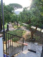 Bed & Breakfast Massico