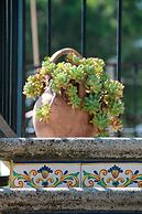 Bed & Breakfast Massico