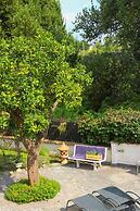 Bed & Breakfast Massico