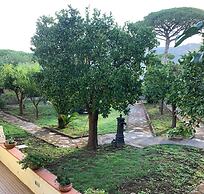 Bed & Breakfast Massico