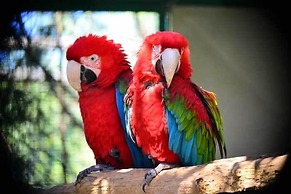 Agriturismo La Valle