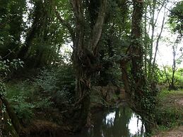 Agriturismo Cavallin del Bufalo