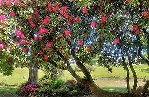 Rosecraddoc Manor Self Catering Holidays