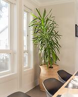 Luxury house with 3 bedrooms and 1 office