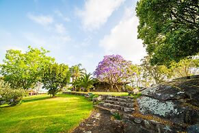 The Bryn At Tilba Family Cottage