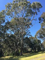 The Bryn At Tilba Family Cottage