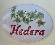 Hedera