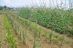 Ngwe Saung Garden Guest House