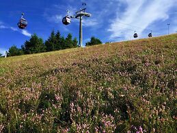 Mountain View Hotel Willingen, BW Signature Collection