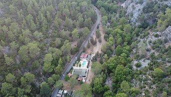 Heaven Garden Boutique Bungalow