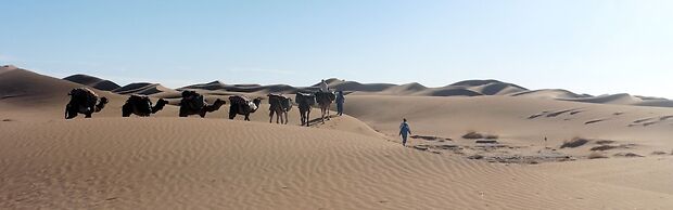 Majorelle Desert Camp