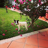 City Garden Guest House