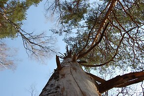 Club of Active Recreation Action