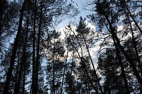 Club of Active Recreation Action