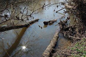 Club of Active Recreation Action