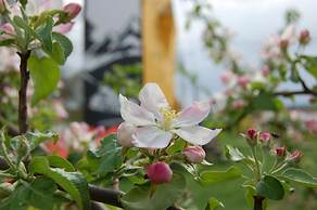 Club of Active Recreation Action