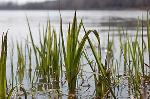 Club of Active Recreation Action