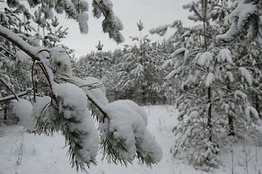 Club of Active Recreation Action