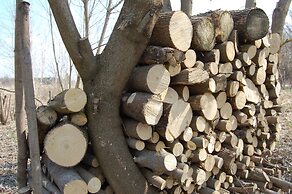 Club of Active Recreation Action