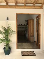 Tropical Boutique Sunrise