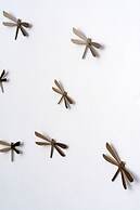 1812 Caves 'n Mansion