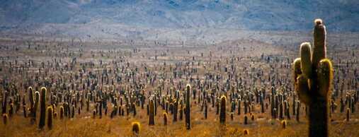 Simpatico Loft Centrico