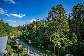 Apartamenty Sun & Snow Zielona