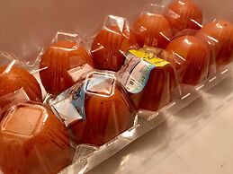 Atami Japan Onsen House