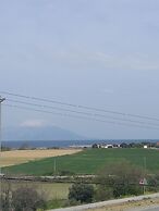 ADA KEKİĞİ PANSİYON