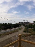 ADA KEKİĞİ PANSİYON