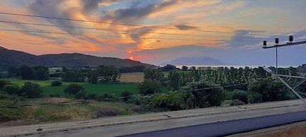 ADA KEKİĞİ PANSİYON