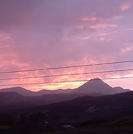 ADA KEKİĞİ PANSİYON