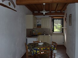 Codavolpe Giardino di Tea