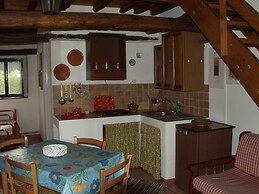 Codavolpe Giardino di Tea