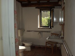 Codavolpe Giardino di Tea