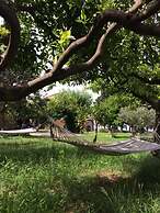 Codavolpe Giardino di Tea