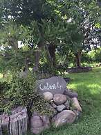 Codavolpe Giardino di Tea