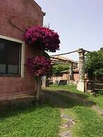 Codavolpe Giardino di Tea