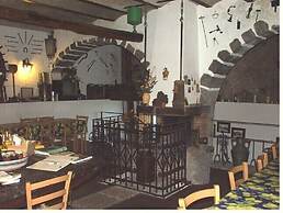 Codavolpe Giardino di Tea