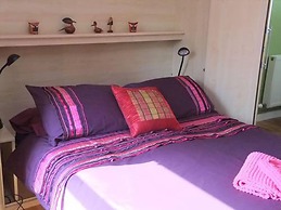 Cwm Irfon Lodge Cottages