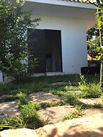 Dependance tra gli ulivi