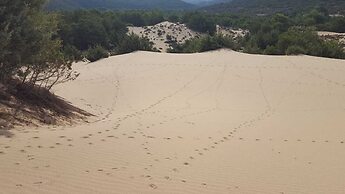 Bed and Breakfast L'Abete