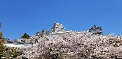 Apartments Jakotel Namba