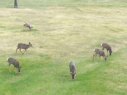 Cariboo Log Guest House