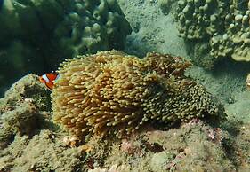 The Moken Eco Village