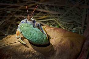 The Moken Eco Village