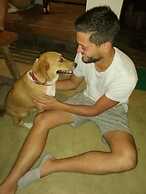 Secret Spot Siargao - Hostel